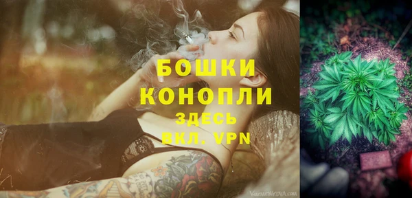 тгк Дмитров