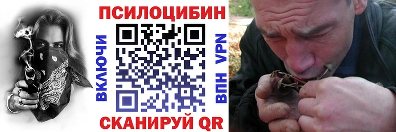 Псилоцибиновые грибы мицелий  даркнет сайт  Сковородино 